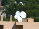 Sat dish.webp