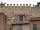 Sat Dish Sergovia 07.webp
