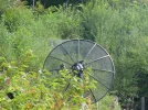 DSC00141.webp