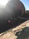 Dish.webp