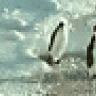 das